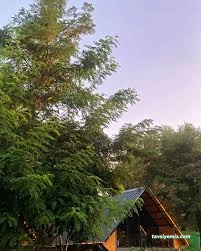 Hazar Bungalov Butik Otel Hazar Bungalov Butik Otel