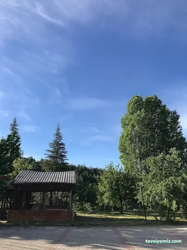 Hılltop Hotel Hılltop Hotel
