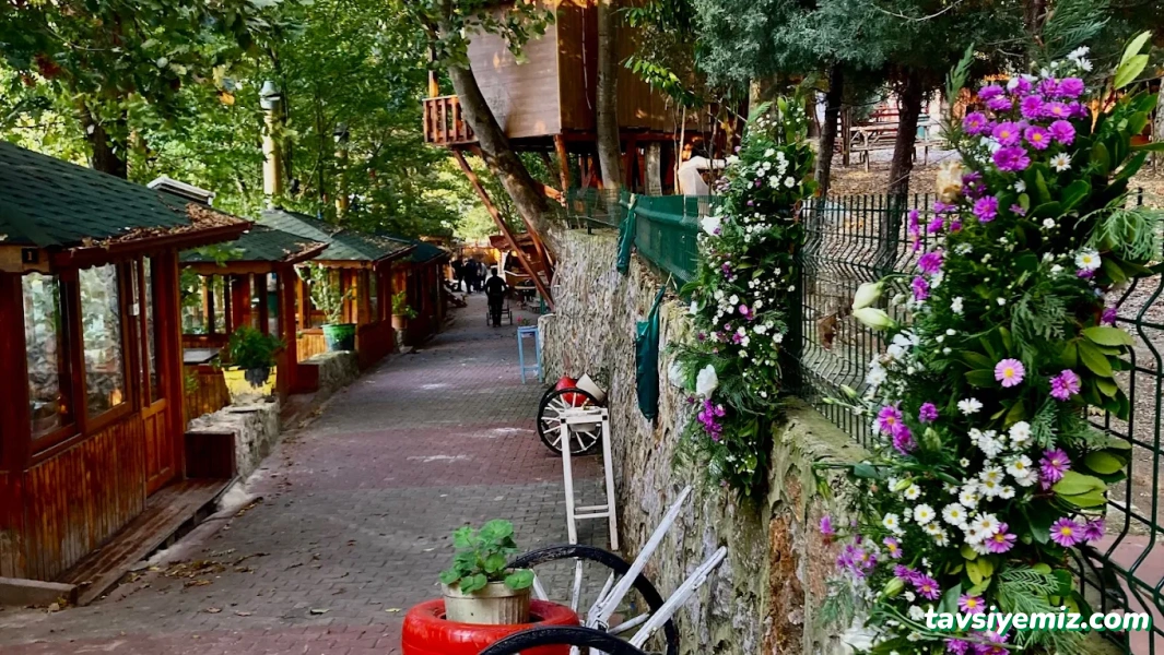 Hisarönü Gölet Mangalbaşı Hisarönü Gölet Mangalbaşı