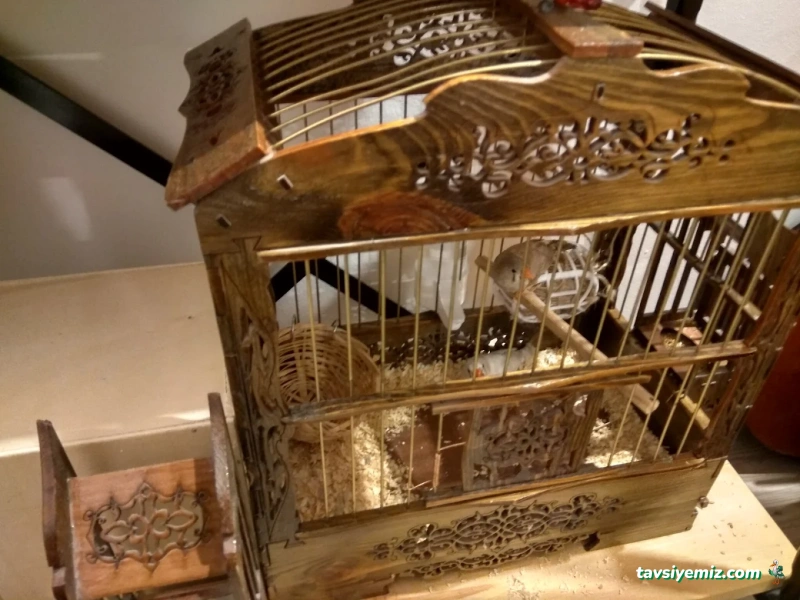 Hobby Pet Shop Hobi Grup Ltd. Hobby Pet Shop Hobi Grup Ltd.