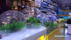 Hobby Pet Shop Hobi Grup Ltd. Hobby Pet Shop Hobi Grup Ltd.