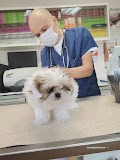 Hoşdere Veteriner Kliniği Hoşdere Veteriner Kliniği