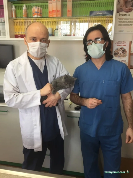 Hoşdere Veteriner Kliniği Hoşdere Veteriner Kliniği