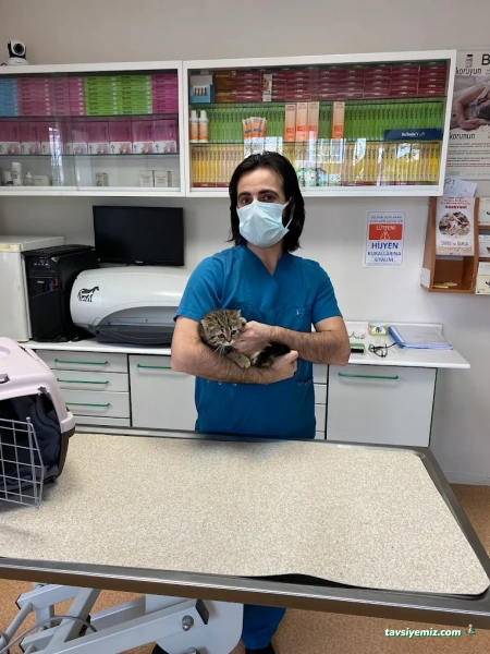Hoşdere Veteriner Kliniği Hoşdere Veteriner Kliniği