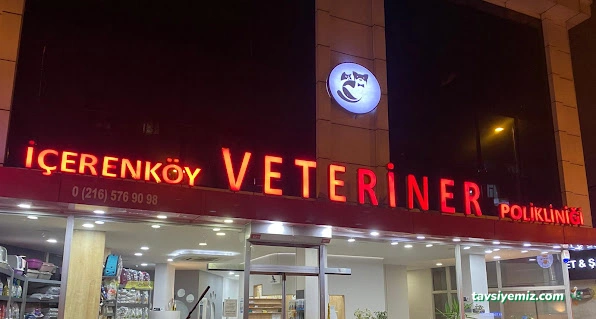 İçerenköy Veteriner Polikliniği İçerenköy Veteriner Polikliniği