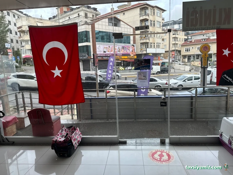 İdealtepe Veteriner Kliniği İdealtepe Veteriner Kliniği