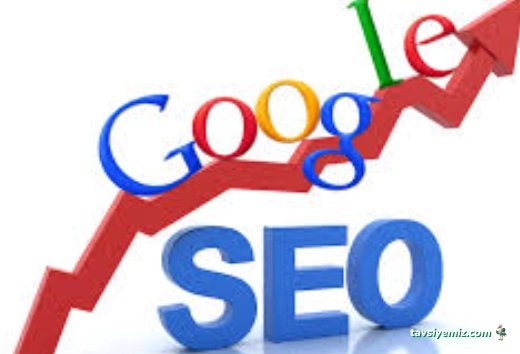 Iğdır Web Tasarım