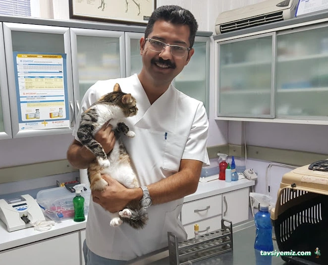 İncek Veteriner Kliniği İncek Veteriner Kliniği