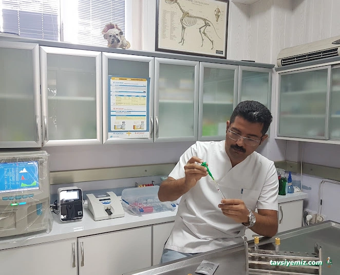 İncek Veteriner Kliniği İncek Veteriner Kliniği