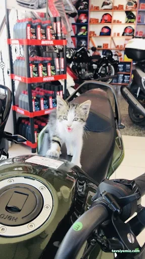 İnceler Motor İnceler Motor