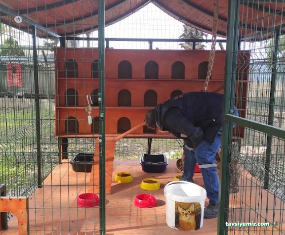 İskenderun Belediyesi Hayvan Barınağı