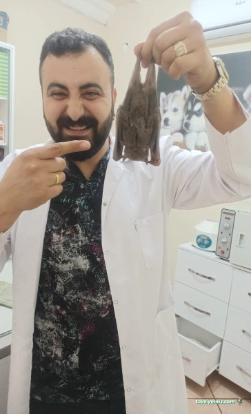 İskenderun Pet House Veteriner Kliniği İskenderun Pet House Veteriner Kliniği