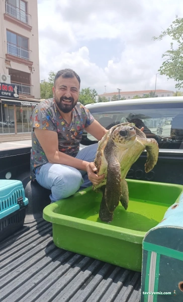 İskenderun Pet House Veteriner Kliniği İskenderun Pet House Veteriner Kliniği