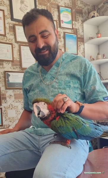 İskenderun Pet House Veteriner Kliniği İskenderun Pet House Veteriner Kliniği