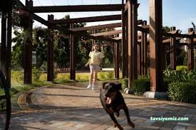 Isparta Pet Otel Armiçi - Kuaför&Kreş Isparta Pet Otel Armiçi - Kuaför&Kreş
