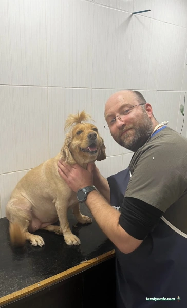 Isparta Veteriner Kliniği