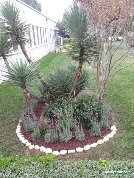 İzmir Peyzaj Ve Sulama Sistemleri Tarım İnşaat San. Ve Tic.ltd.şti. İzmir Peyzaj Ve Sulama Sistemleri Tarım İnşaat San. Ve Tic.ltd.şti.