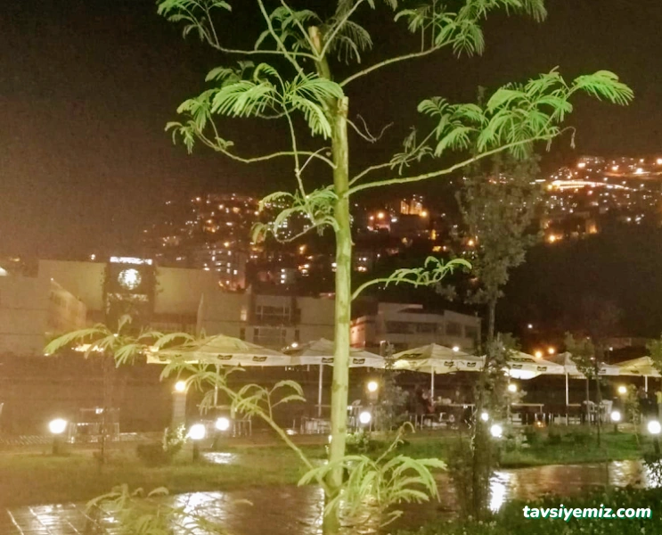 Joker Çoruh Park Joker Çoruh Park