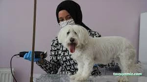 Jupa Pet