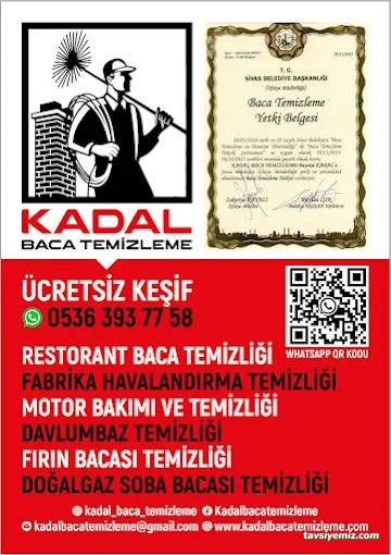Kadal Baca Temizleme Kadal Baca Temizleme