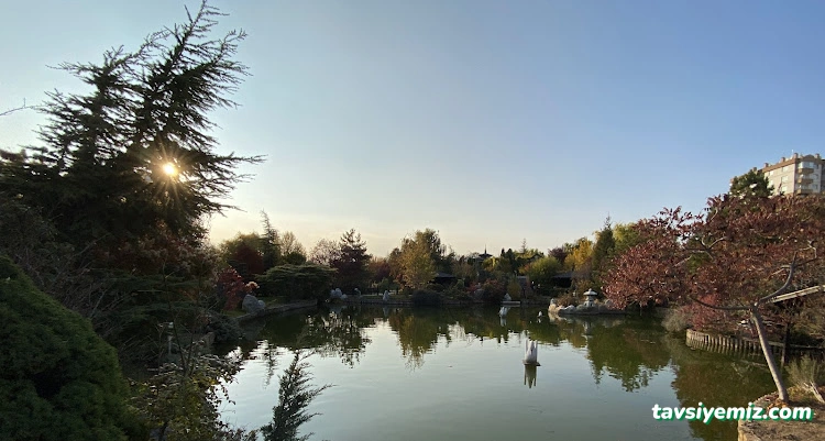 Kafem Japon Parkı Kafem Japon Parkı