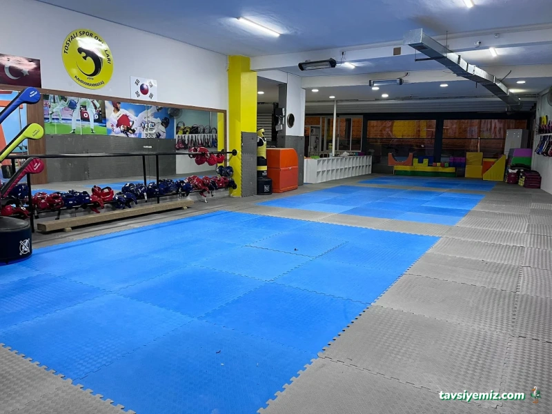 Kahramanmaraş Tosyalı Taekwondo-Cimnastik Ve Futbol Kulubü - Vadi Şubesi Kahramanmaraş Tosyalı Taekwondo-Cimnastik Ve Futbol Kulubü - Vadi Şubesi