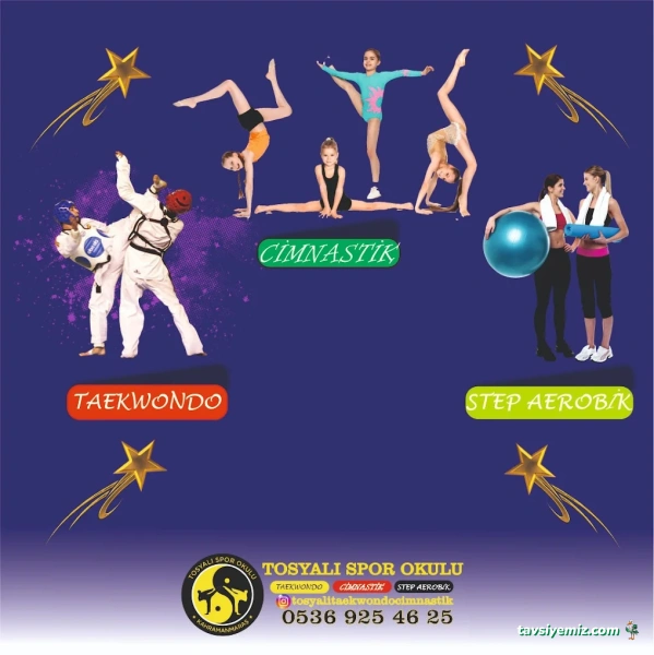 Kahramanmaraş Tosyalı Taekwondo-Cimnastik Ve Futbol Kulubü - Vadi Şubesi Kahramanmaraş Tosyalı Taekwondo-Cimnastik Ve Futbol Kulubü - Vadi Şubesi