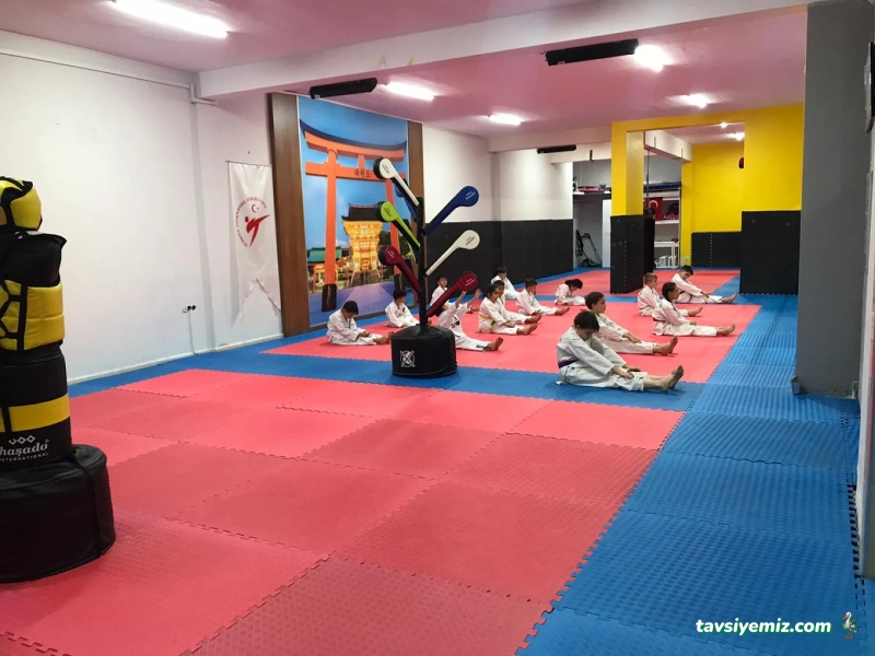 Kahramanmaraş Tosyalı Taekwondo-Cimnastik Ve Futbol Kulubü - Vadi Şubesi Kahramanmaraş Tosyalı Taekwondo-Cimnastik Ve Futbol Kulubü - Vadi Şubesi