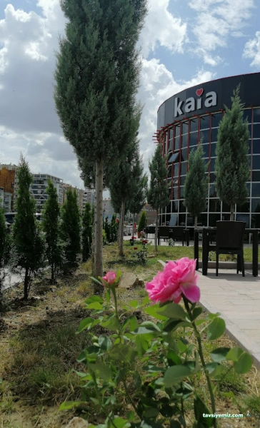 Kaia Restaurant Usak Kaia Restaurant Usak
