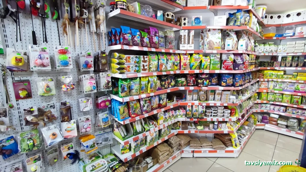 Kalite Pet Shop Kalite Pet Shop