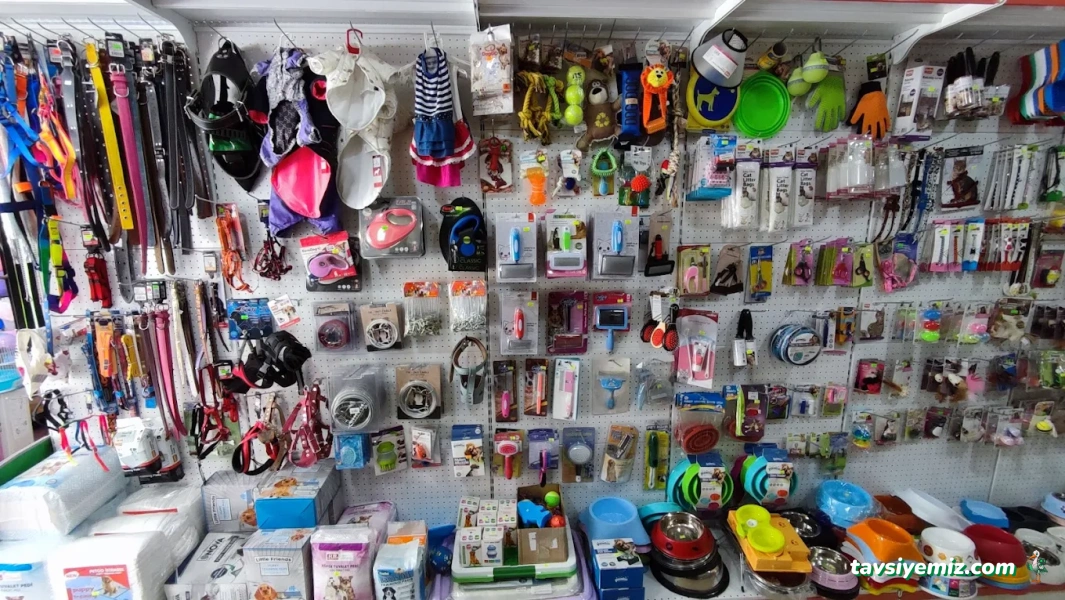 Kalite Pet Shop Kalite Pet Shop