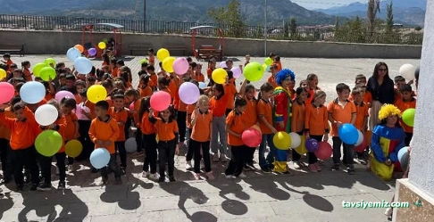 Kamfolk Organizasyon