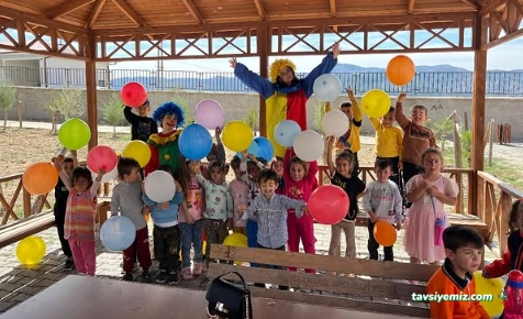 Kamfolk Organizasyon