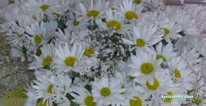 Kaplan Çiçekçilik & Organizasyon