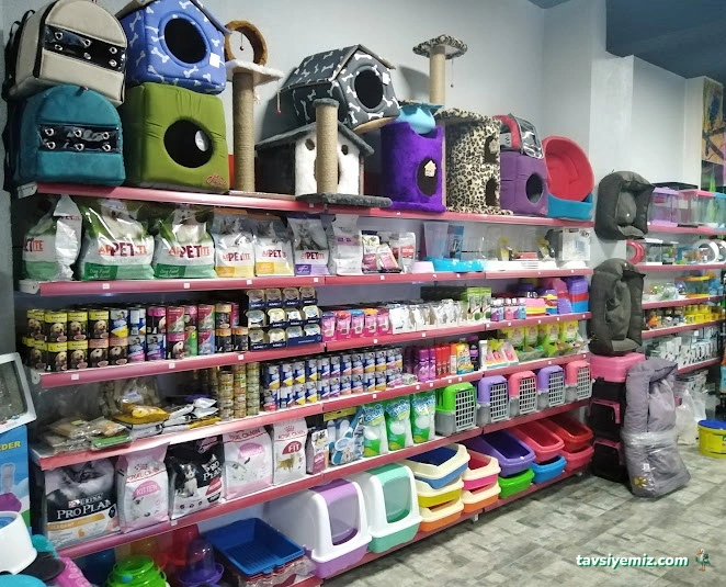 Karadeniz Petshop Kocaeli Karadeniz Petshop Kocaeli