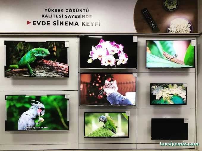 Karağaç Ticaret Regal Showroom Karağaç Ticaret Regal Showroom