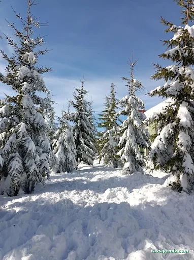Kartepe Kayak Evi