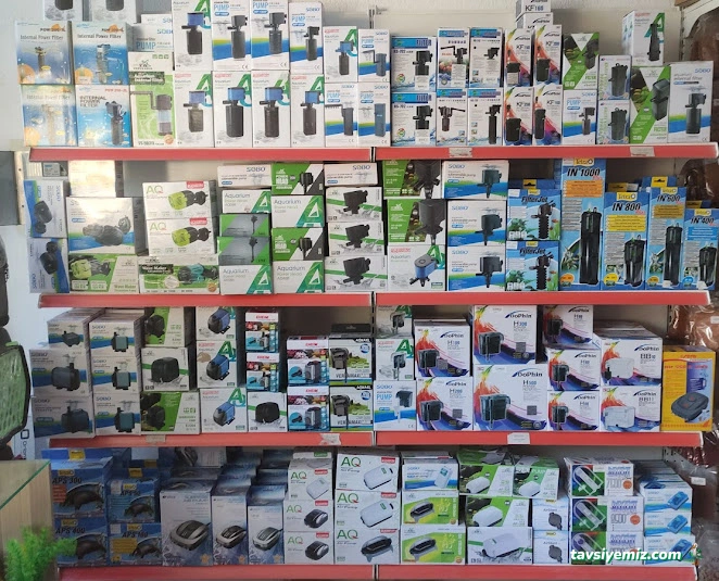 Kayahan Petshop (Akvaryum Balık Avm)