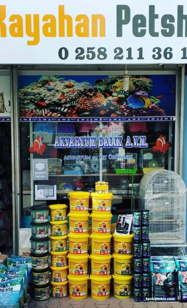 Kayahan Petshop (Akvaryum Balık Avm)