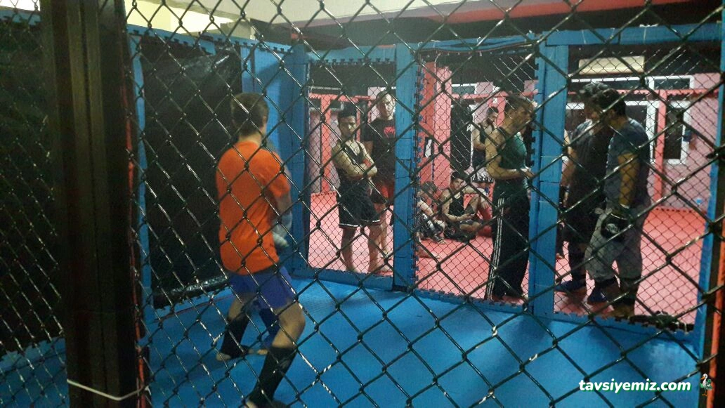Kayın Spor Kulübü Kayın Spor Kulübü