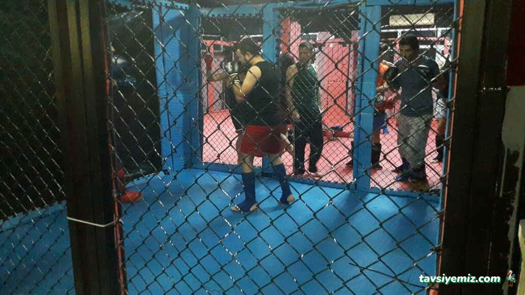 Kayın Spor Kulübü Kayın Spor Kulübü