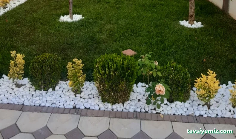 Kayra Peyzaj Ve Fidancılık Kayra Peyzaj Ve Fidancılık