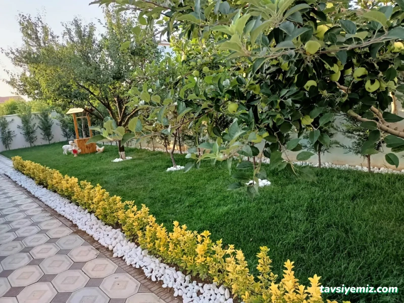 Kayra Peyzaj Ve Fidancılık Kayra Peyzaj Ve Fidancılık