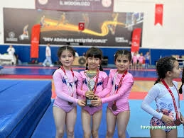 Kayseri Cimnastik Spor Kulübü Kayseri Cimnastik Spor Kulübü