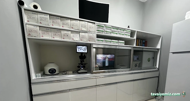 Kayseri Hospetal Veteriner Kliniği Kayseri Hospetal Veteriner Kliniği