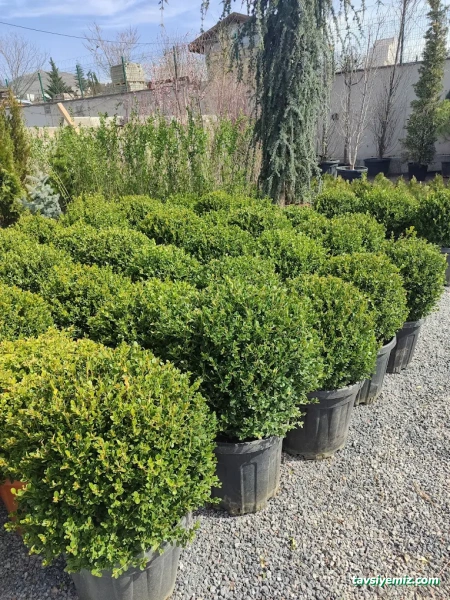 Kayseri Peyzaj Bahçe Düzenleme Garde The Garden Kayseri Peyzaj Bahçe Düzenleme Garde The Garden