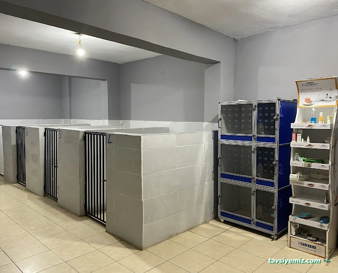 Kepez(Ahmet Işık) Veteriner Kliniği Kepez(Ahmet Işık) Veteriner Kliniği