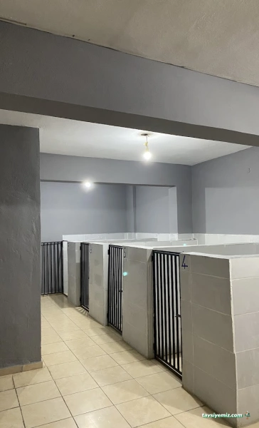 Kepez(Ahmet Işık) Veteriner Kliniği Kepez(Ahmet Işık) Veteriner Kliniği