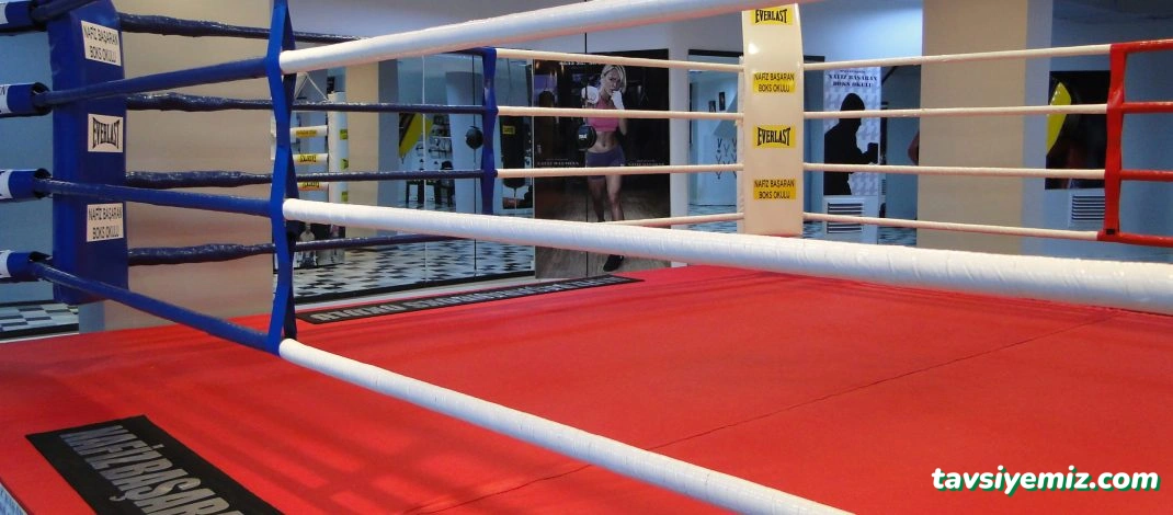 Kerem Gürgen Fight Club & Fitness& Boks Akademisi