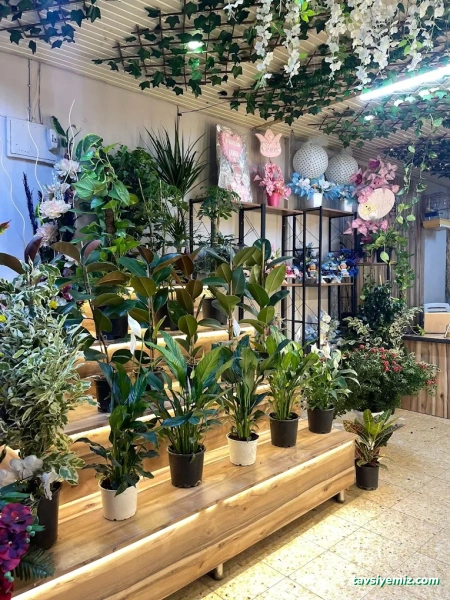 Kilis Neslihan Çiçek Galerisi Peyzaj Organizasyon Kilis Neslihan Çiçek Galerisi Peyzaj Organizasyon